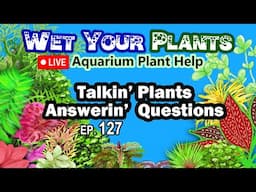 Planted tank solutions, and talking aquarium plants, maybe some pond plants (WYP 127)