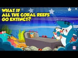 What if All The Coral Reefs Went Extinct? | Why are Coral Reefs Important? | Dr. Binocs Show
