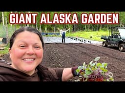 Planting Our HUGE Alaska Homestead Garden - 2 Alaskans, 3 days, 1000 Plants...in the pouring rain