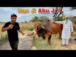 Sub Ko Bail Kaisa Laga ? 🤔