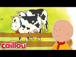 Who's Mooing? | Caillou - WildBrain | Learning for Children