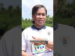 How mangroves are saving this Philippine island